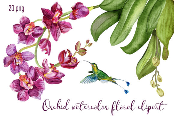 Download Orchid Watercolor Floral Digital Clipart - Floral Collection